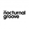 The Shapeshifters & Nocturnal Groove